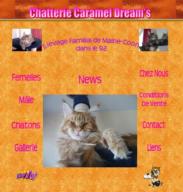 http://carameldreams.voila.net